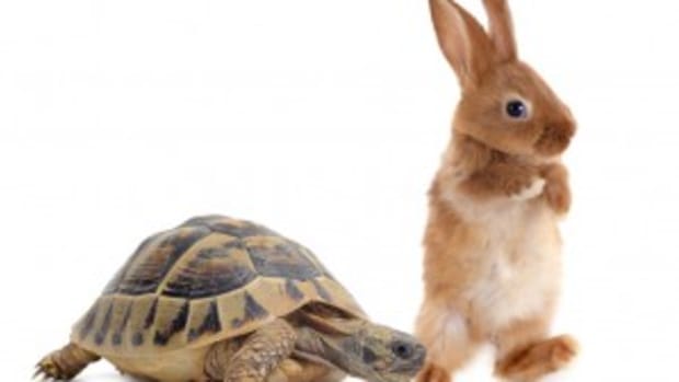 The Tortoise and The Hare.