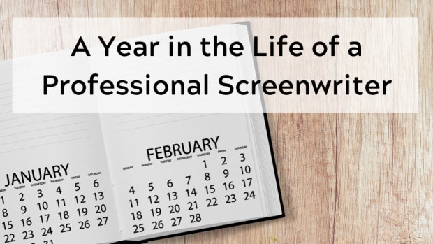 A Year in the Life of a Professional Screenwriter