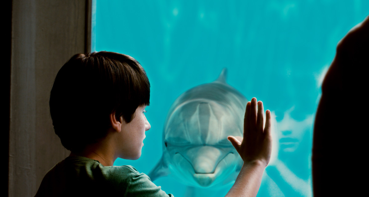  Nathan Gamble as Sawyer Nelson and Winter as herself, in Alcon Entertainment’s family adventure Dolphin Tale, a Warner Bros. Pictures release.