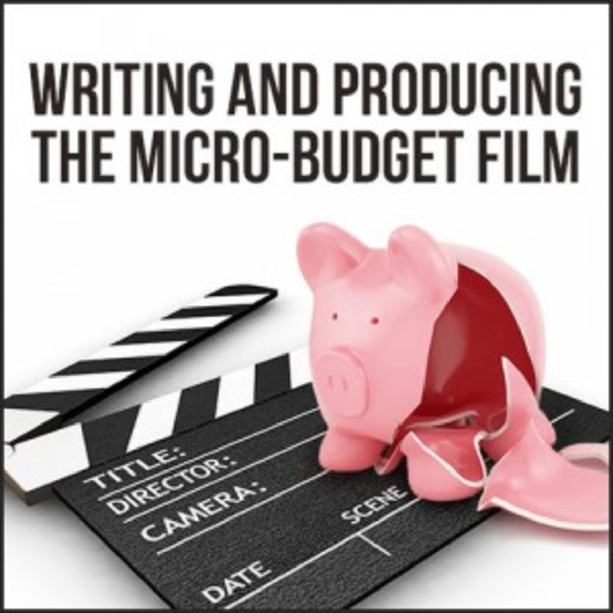 microbudgetfilm-500_medium