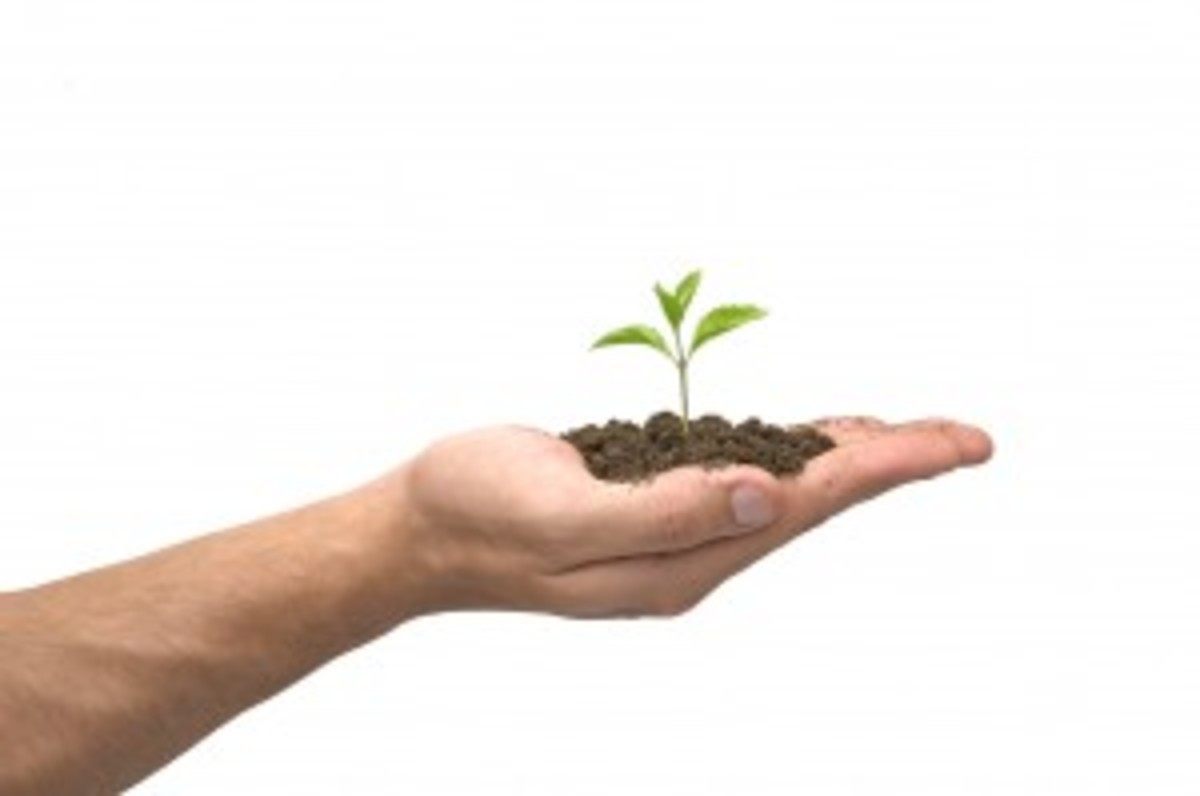 Plant seeds for your future career...