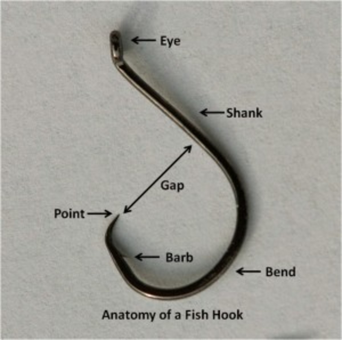 Anatomyofafishhook