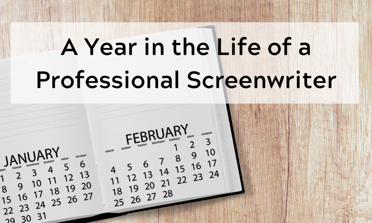 A Year in the Life of a Professional Screenwriter