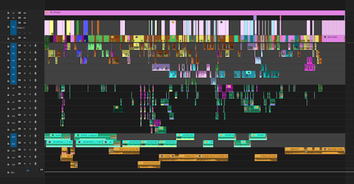 Appendage Premiere Timeline.