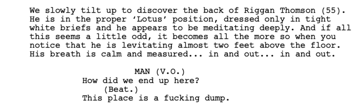 Excerpt from Birdman (2014) screenplay written by