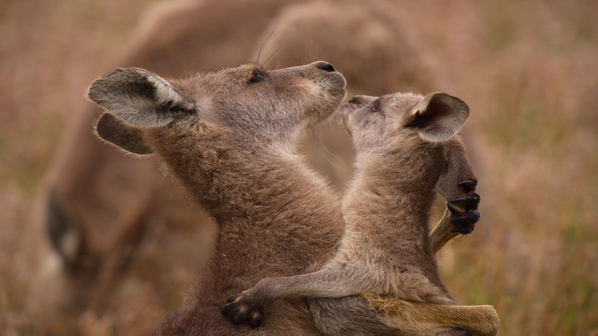 Mala and her mother Luana, Kangaroo Valley, Courtesy of Netflix