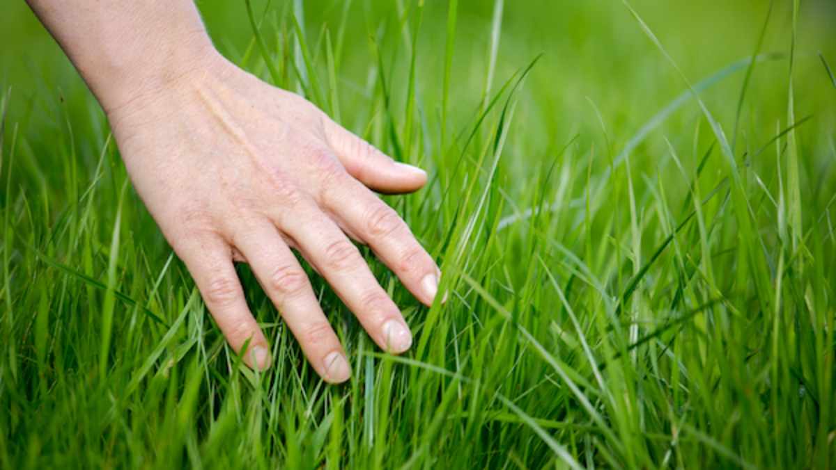Why “Touch Grass” is Actually Great Advice for Screenwriters - Script  Magazine