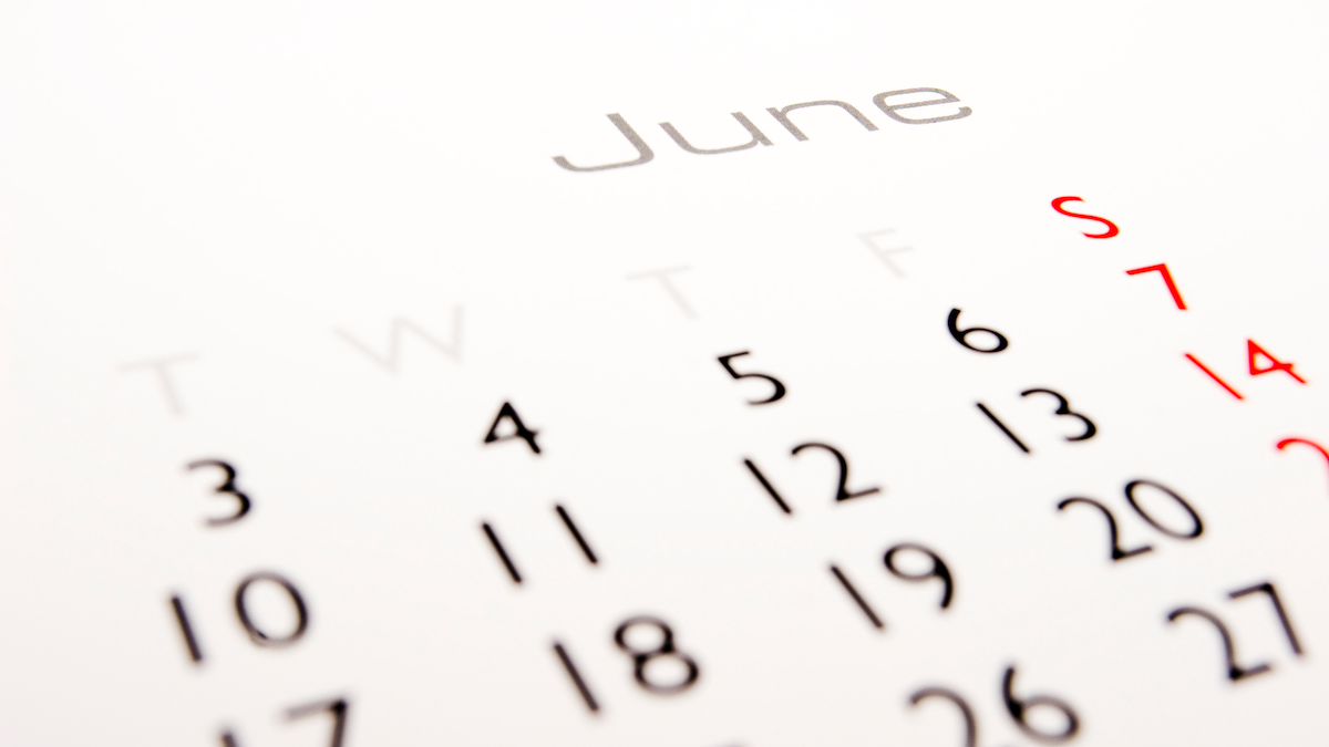 Script University June 2025 Courses