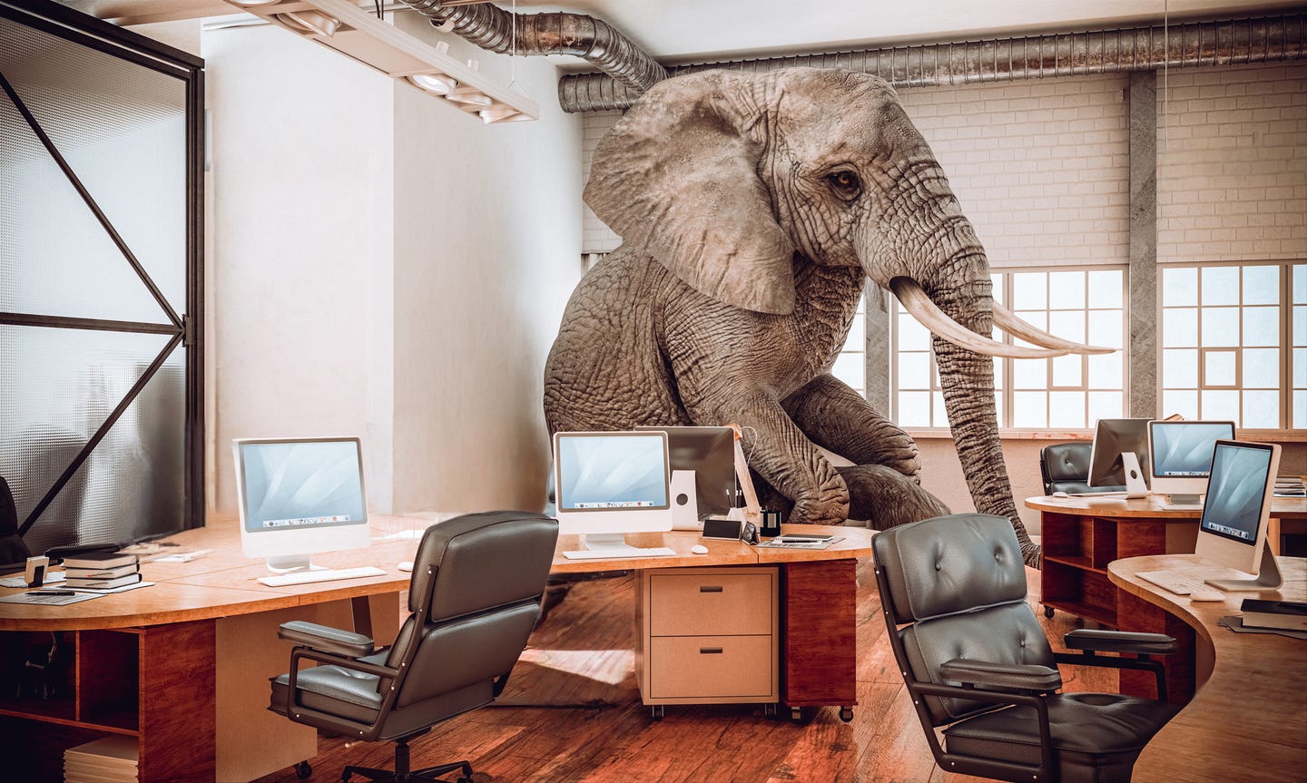 Breaking & Entering: The Elephant in the Room – The Mighty Metaphor