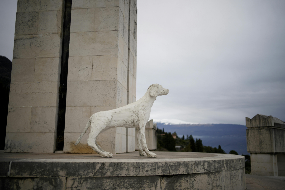 How the Development Process is Like Making a Statue of a Dog