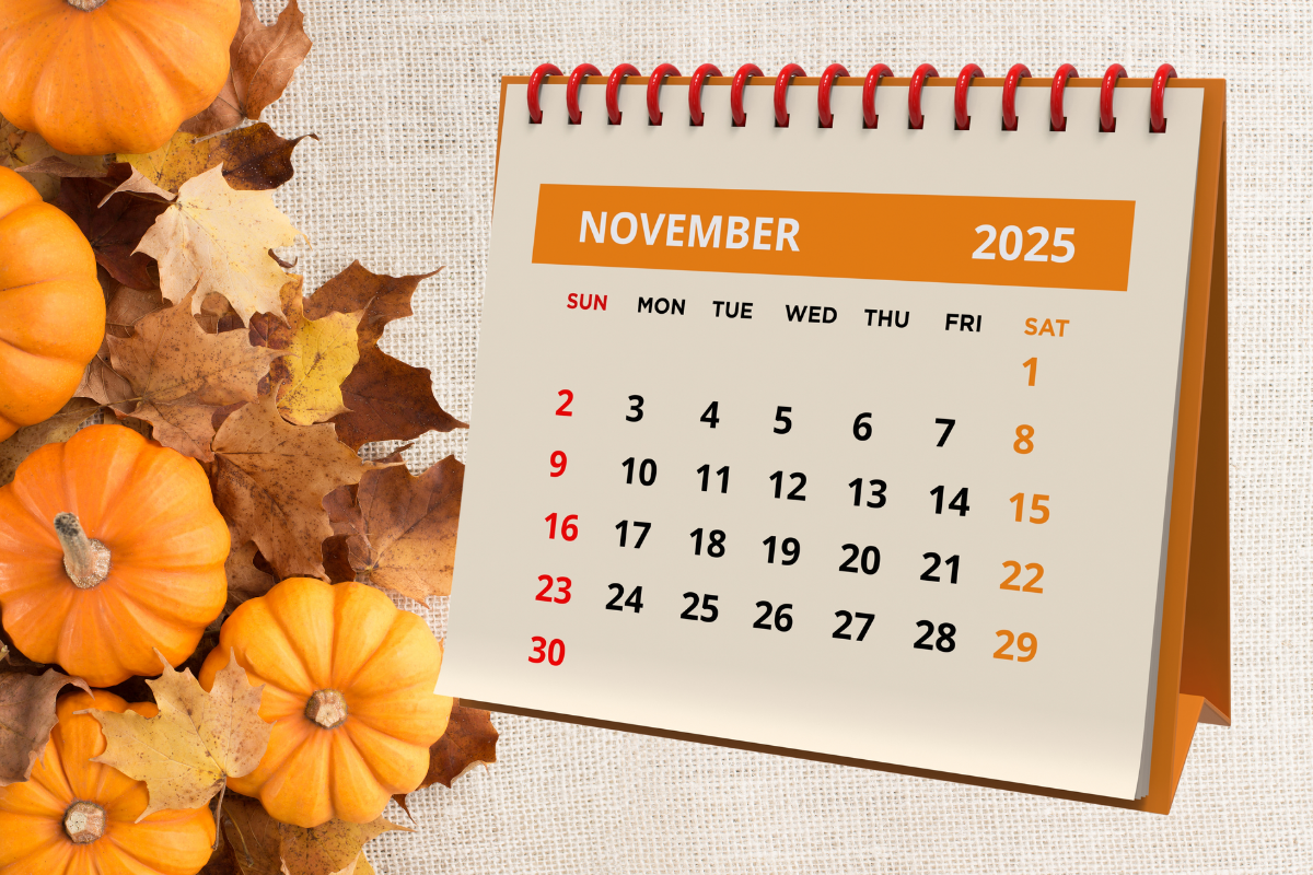 Script University November 2025 Courses and Live Events