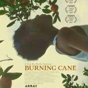 Susan Kouguell Interviews 19-Year-Old Tribeca Film Festival Winning Burning Cane Filmmaker Phillip Youmans